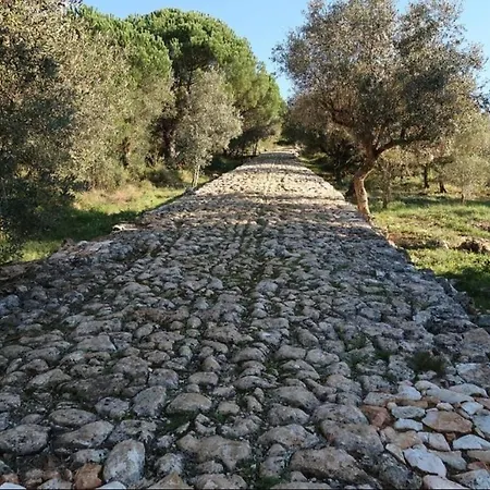 Refugio Da Serra Lägenhet