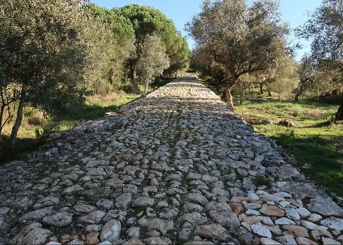 Refugio Da Serra Апартаменты